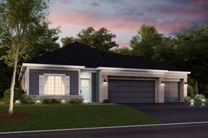 Cedarwood II