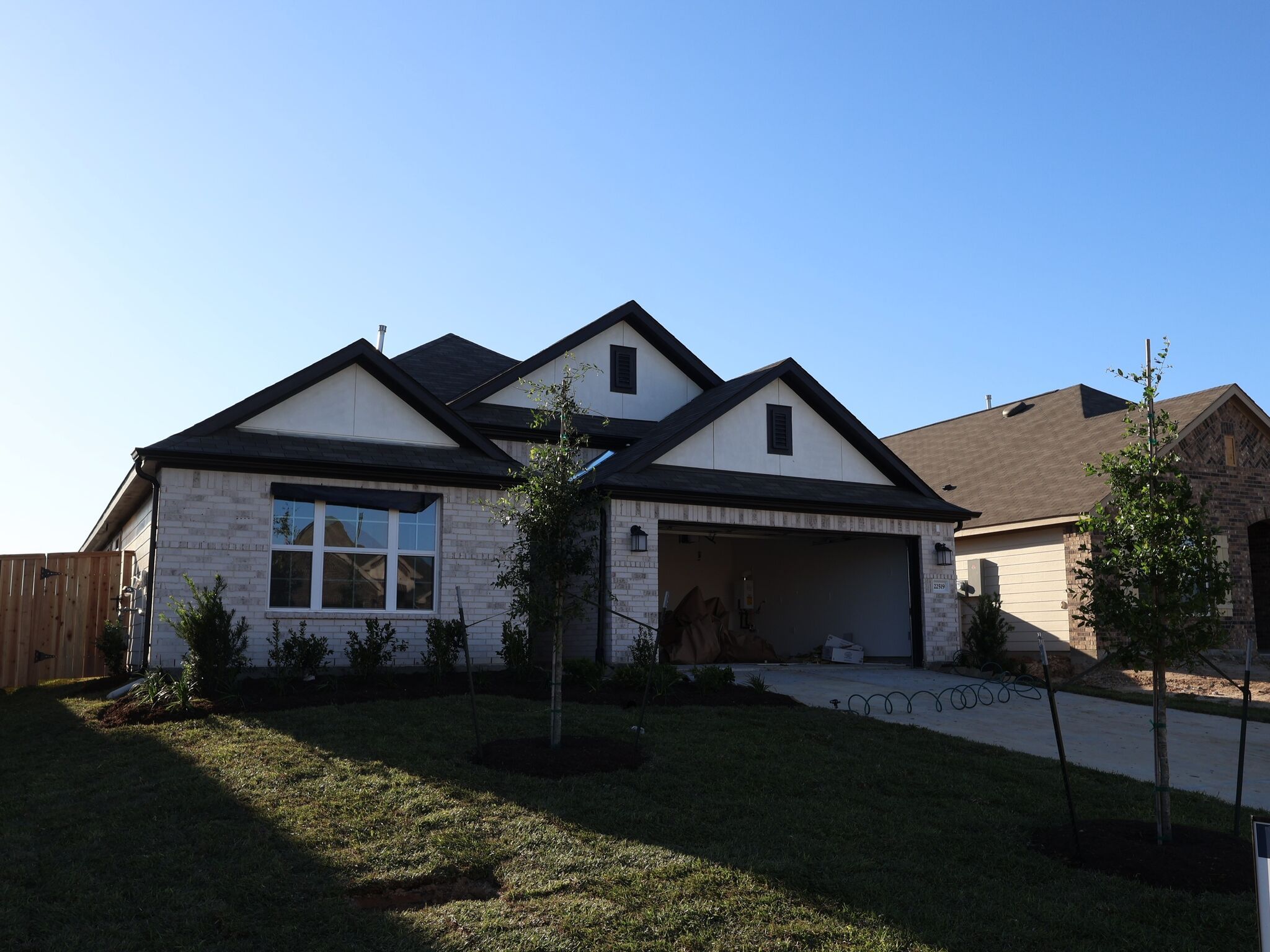 22519 Pagoda Dogwood Branch Drive (Pizarro)