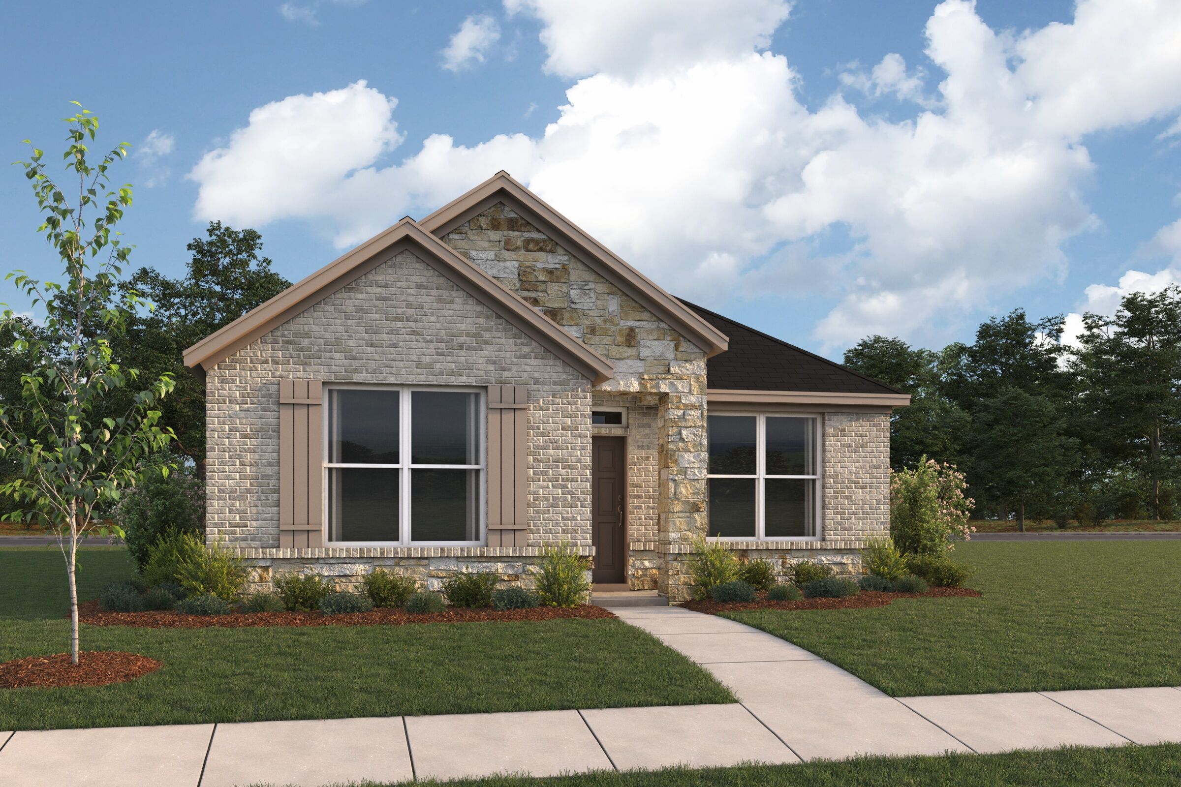 3105 Elevation Camellia