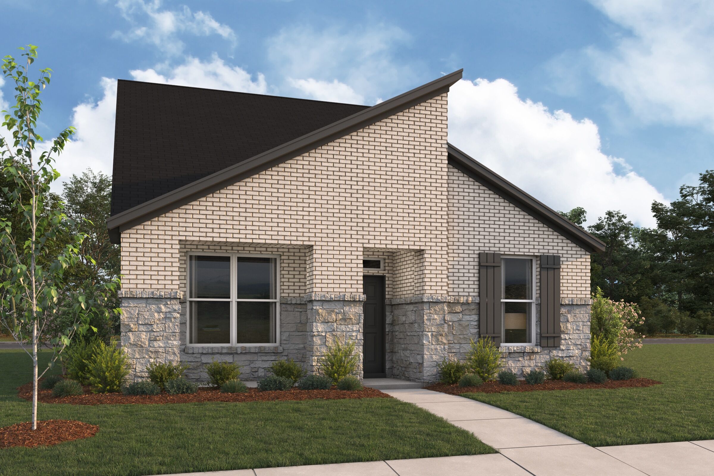 3101 Elevation Orchid