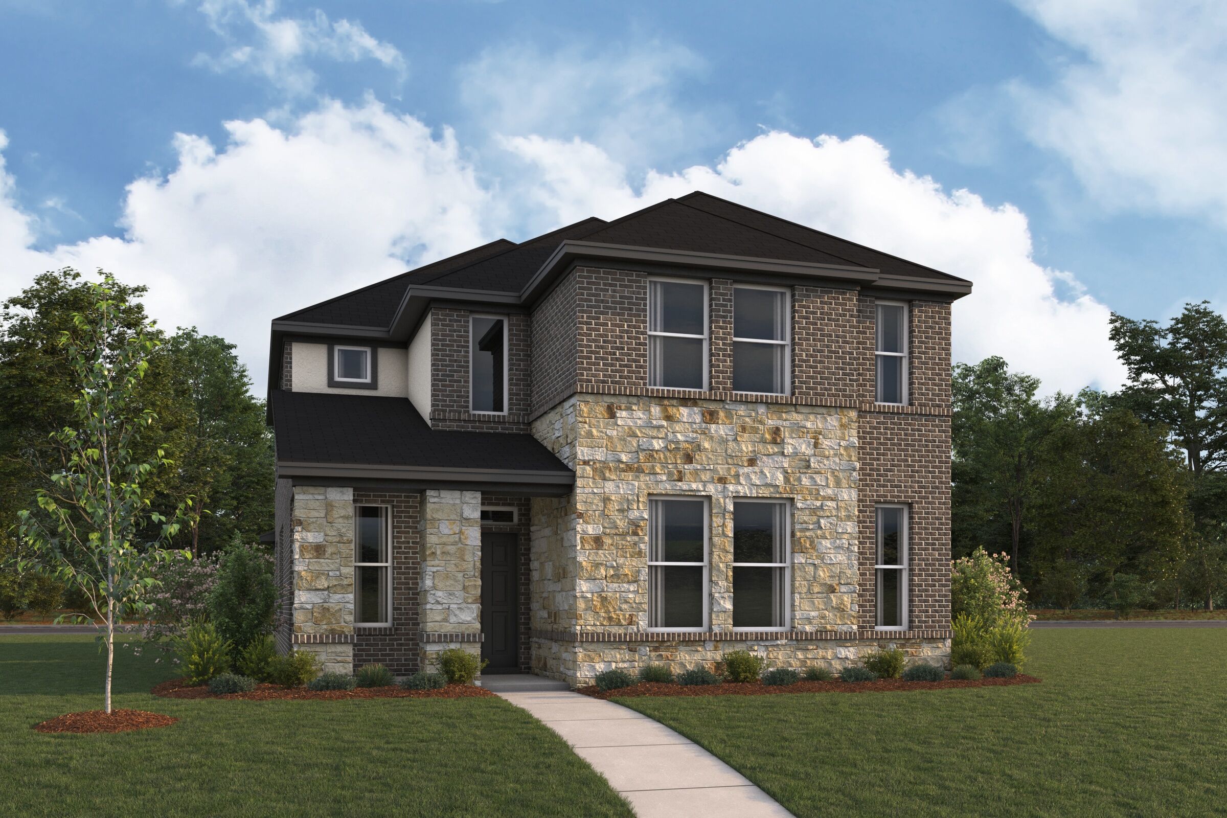 3110 Elevation Sunflower