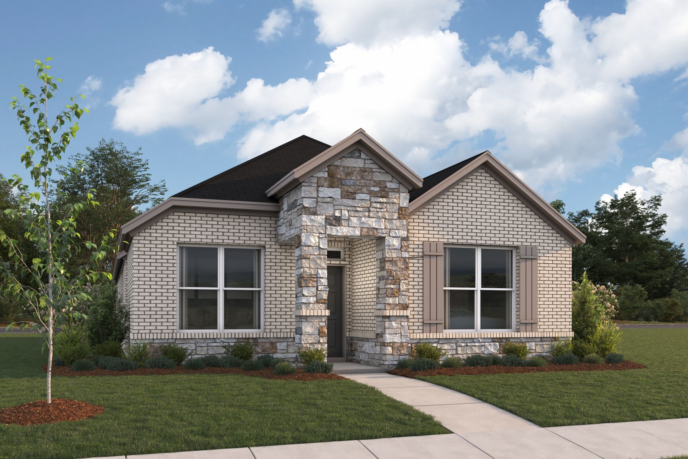 3103 Elevation Zinnia