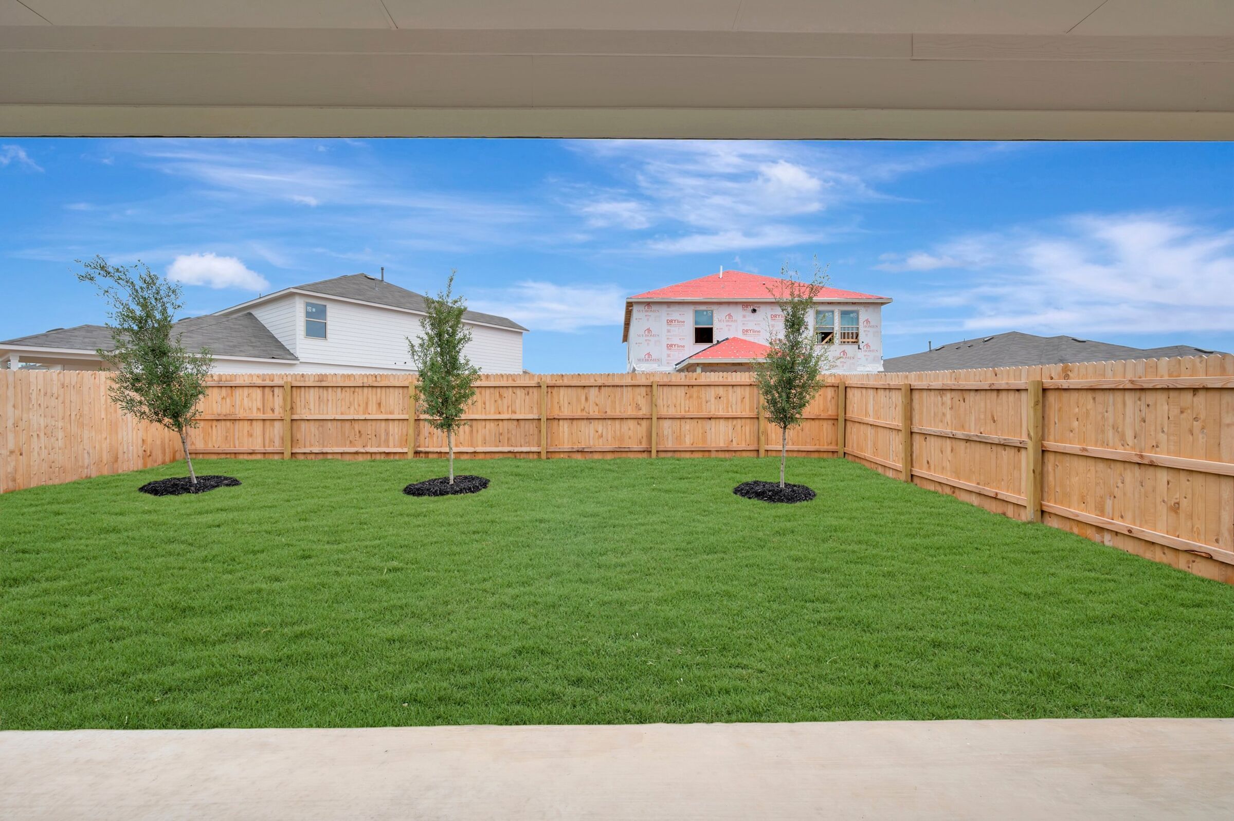 Backyard