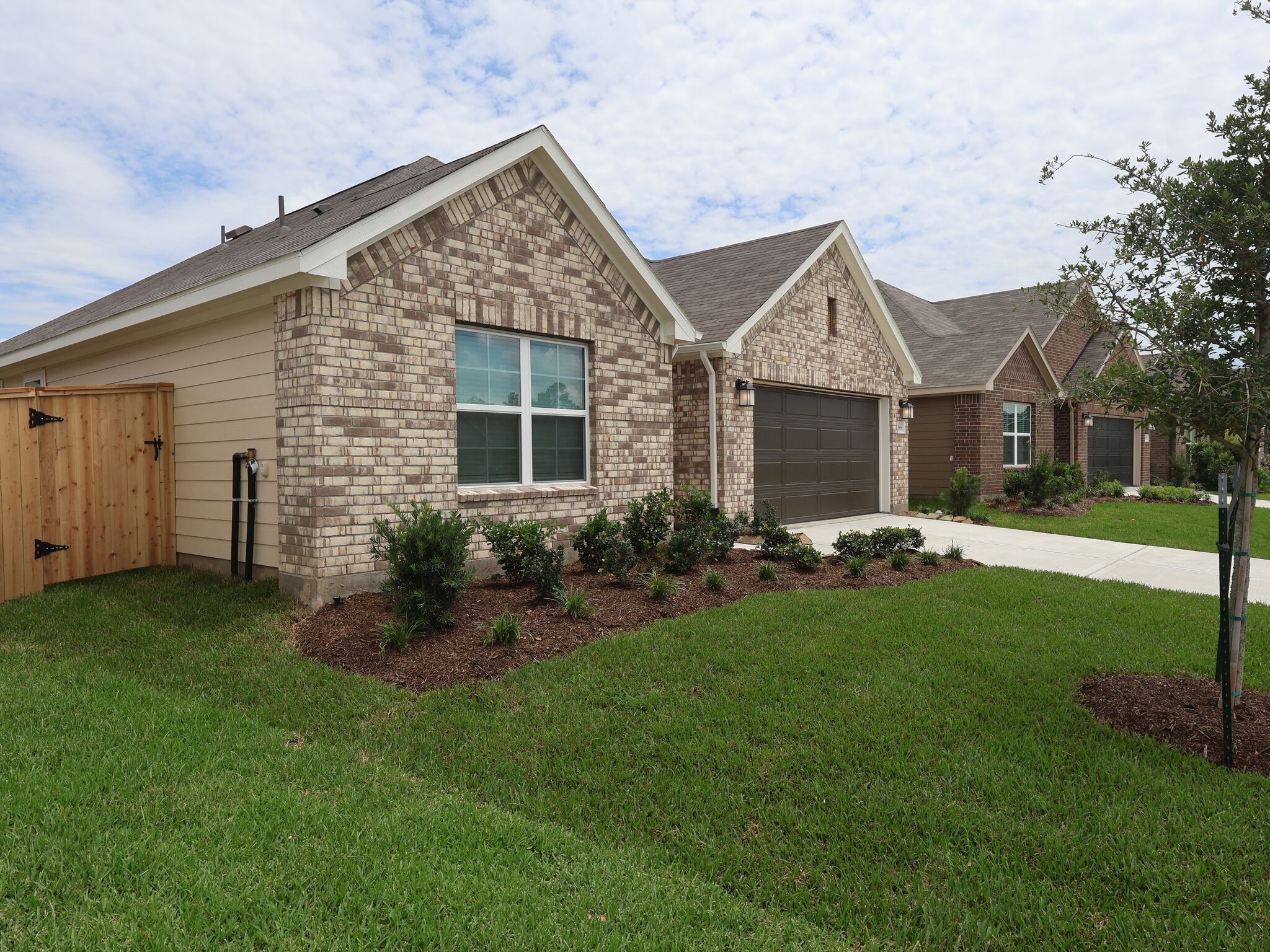 22555 Pagoda Dogwood Branch Drive (Pizarro)