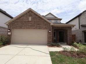8226 Blue Shell Lane (Gardenia)