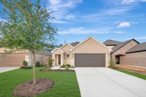 21414 Jacaranda Blossom Way (Aster)