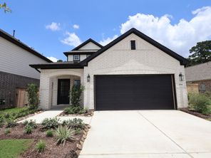20514 Draper Road (Gardenia)