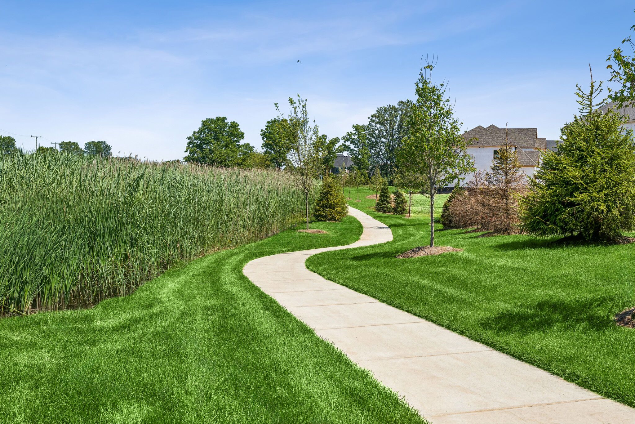 Walking Trail