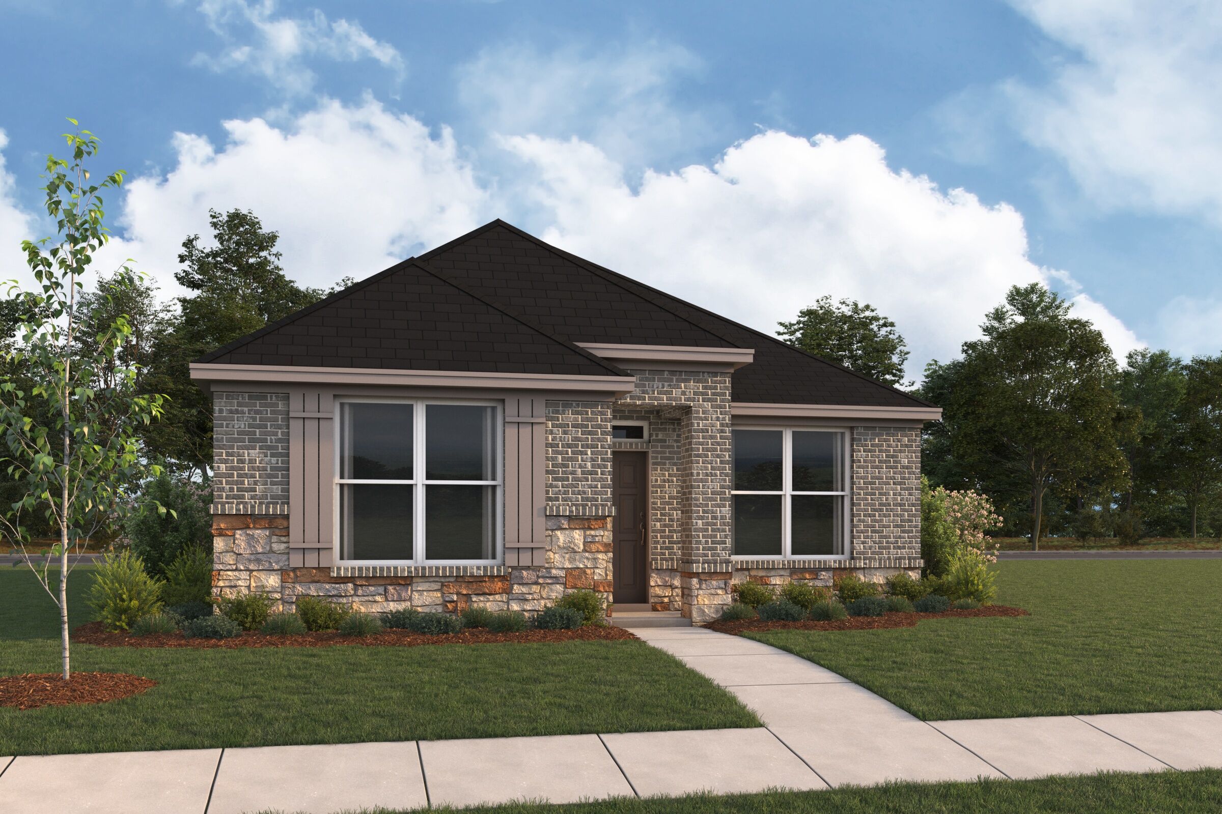 Camellia - Colony At Cole Springs: Buda, Texas - M/I Homes