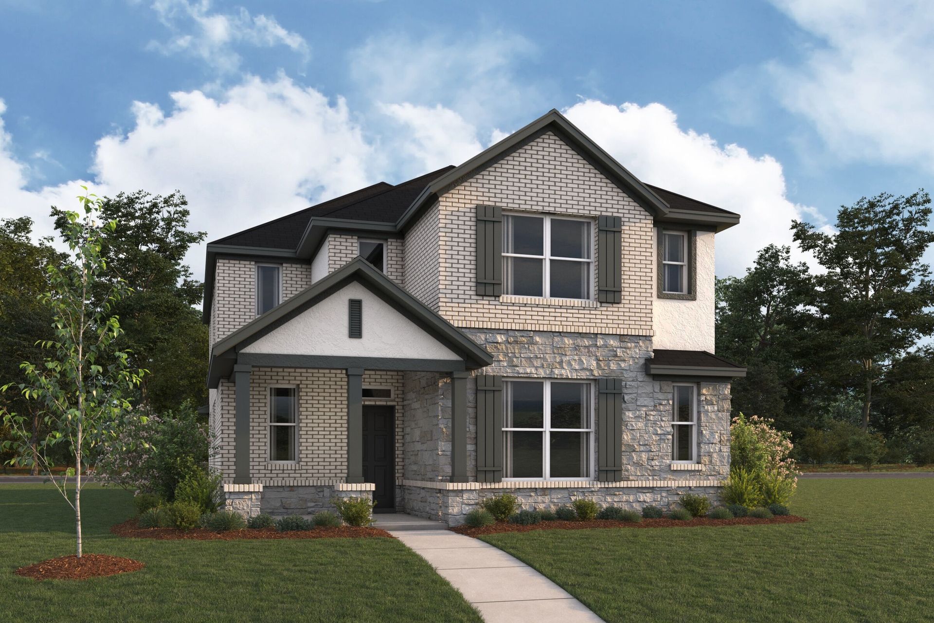 3110 Elevation Sunflower