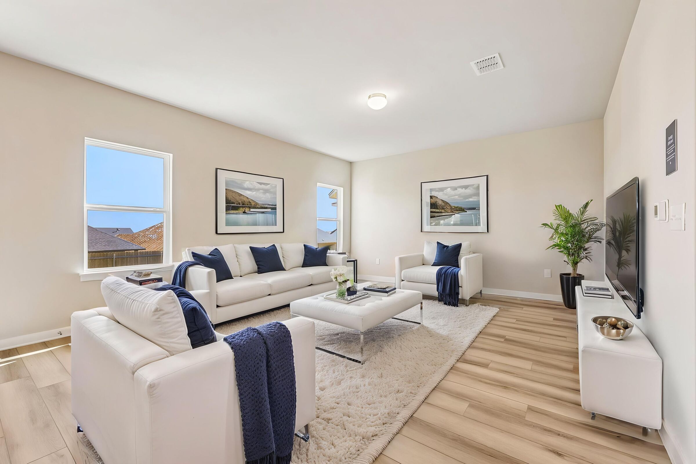 Living Room - Virtually Staged - Representational Photo