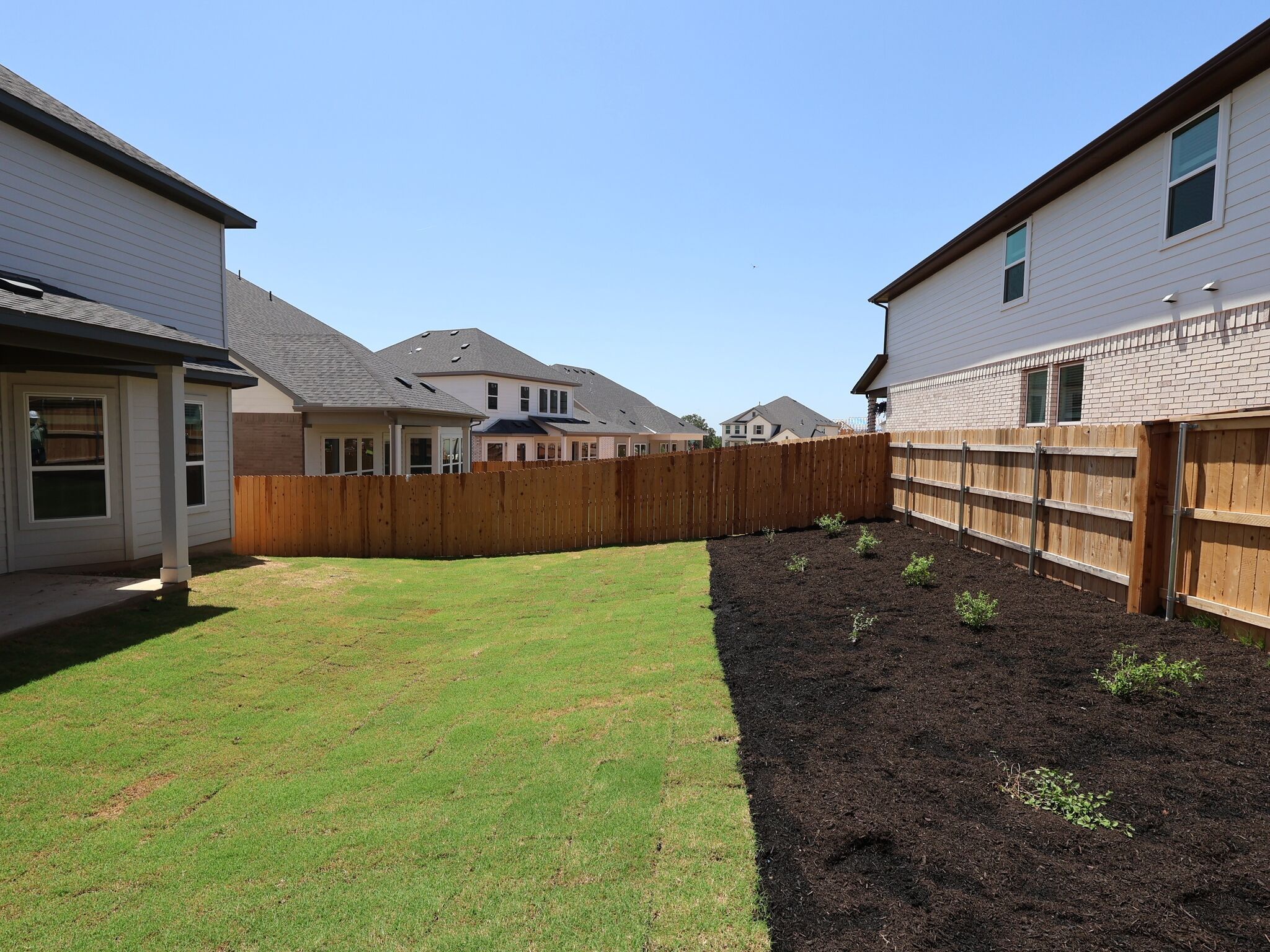 Backyard