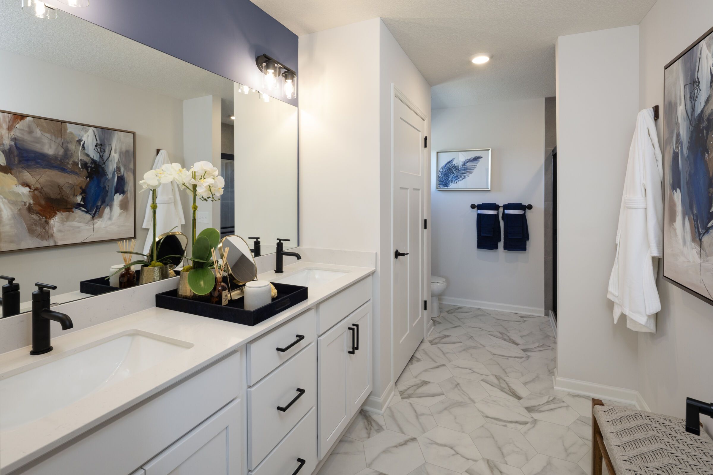 Owner's Bathroom