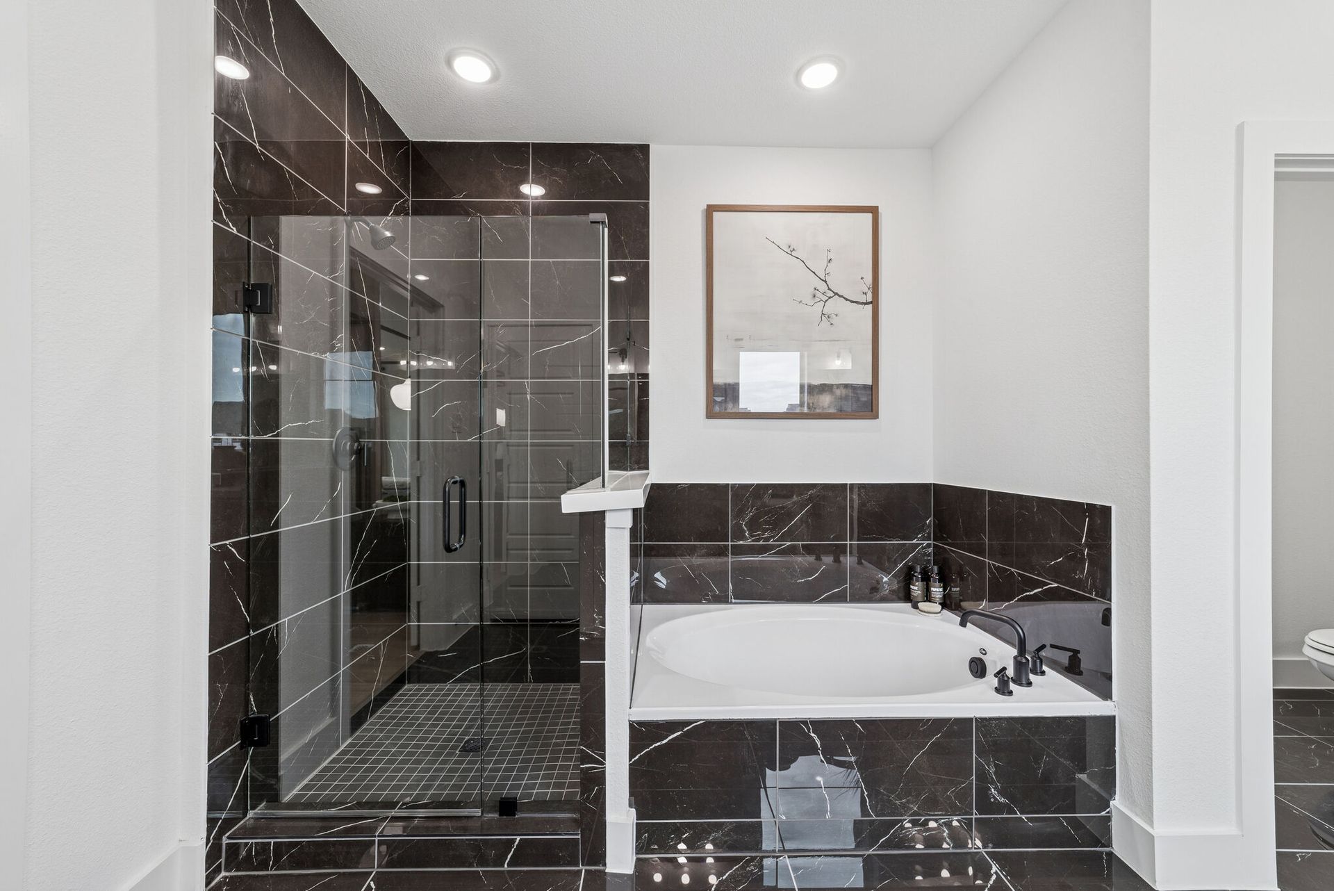 Owner's Bathroom
