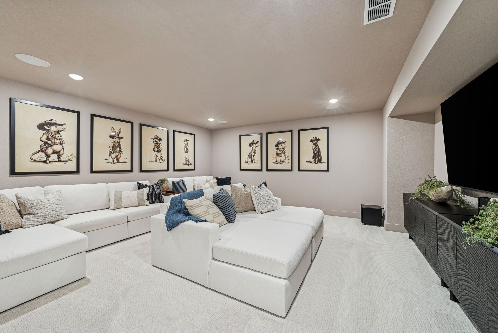 Media Room