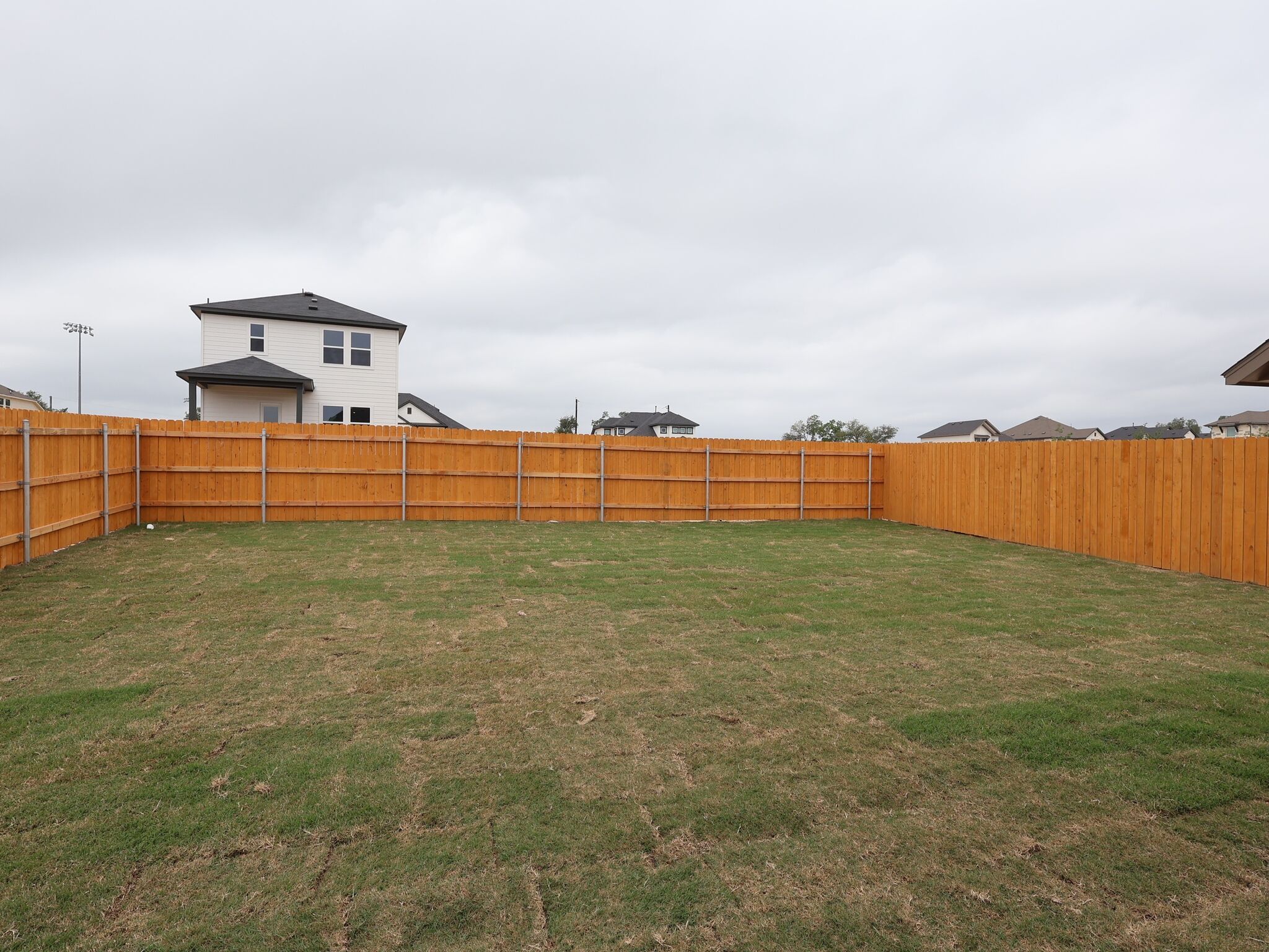 Backyard
