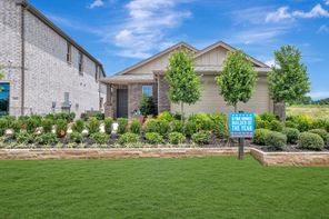 3108 Orchid Avenue (Aster)