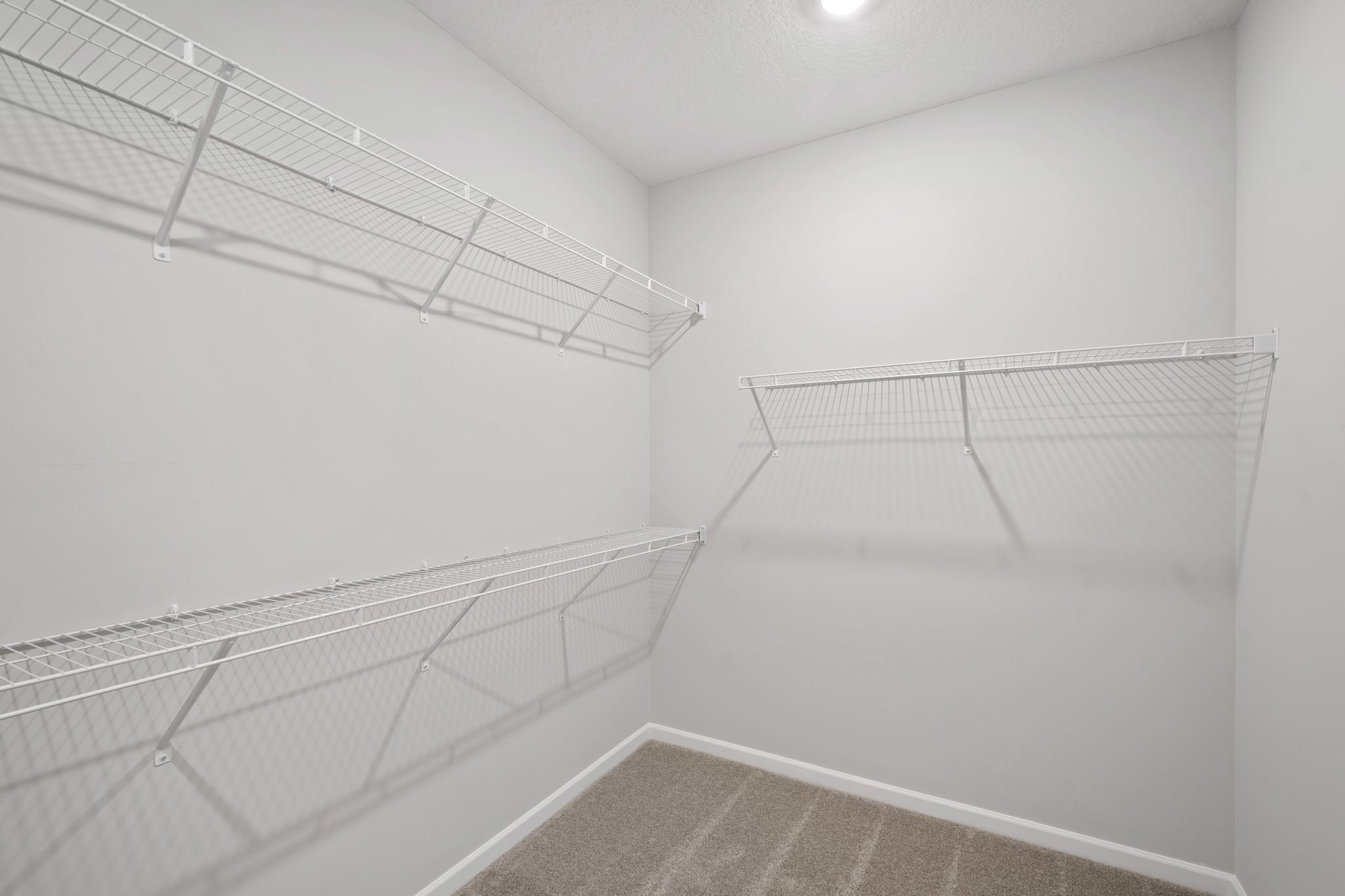 Owner's Closet