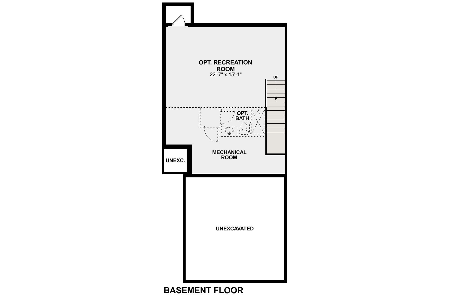 Albany Basement