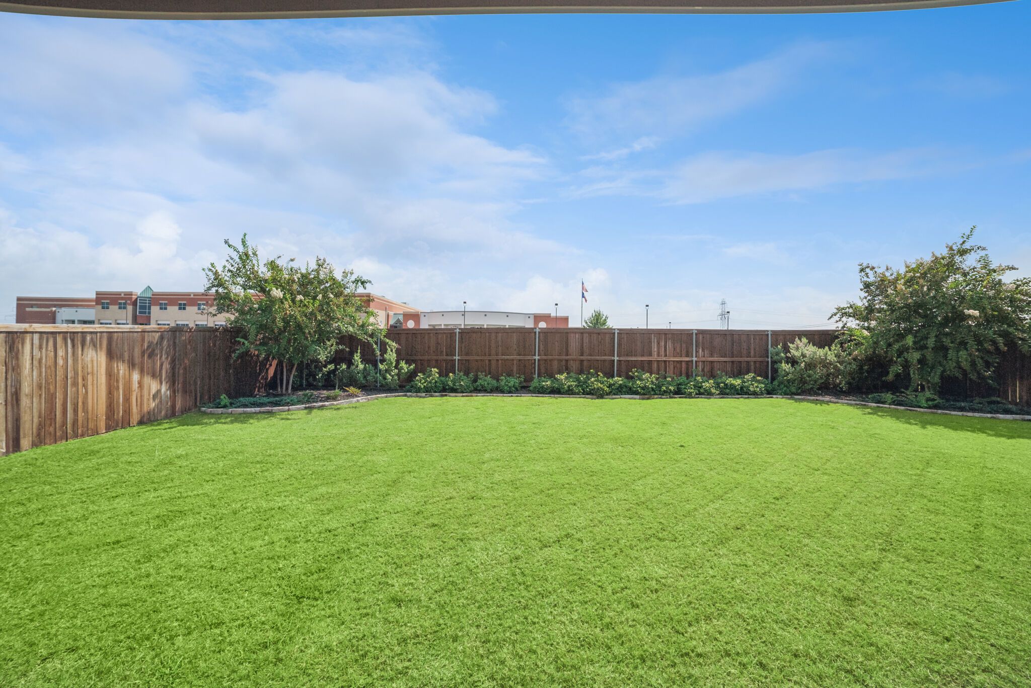 Backyard