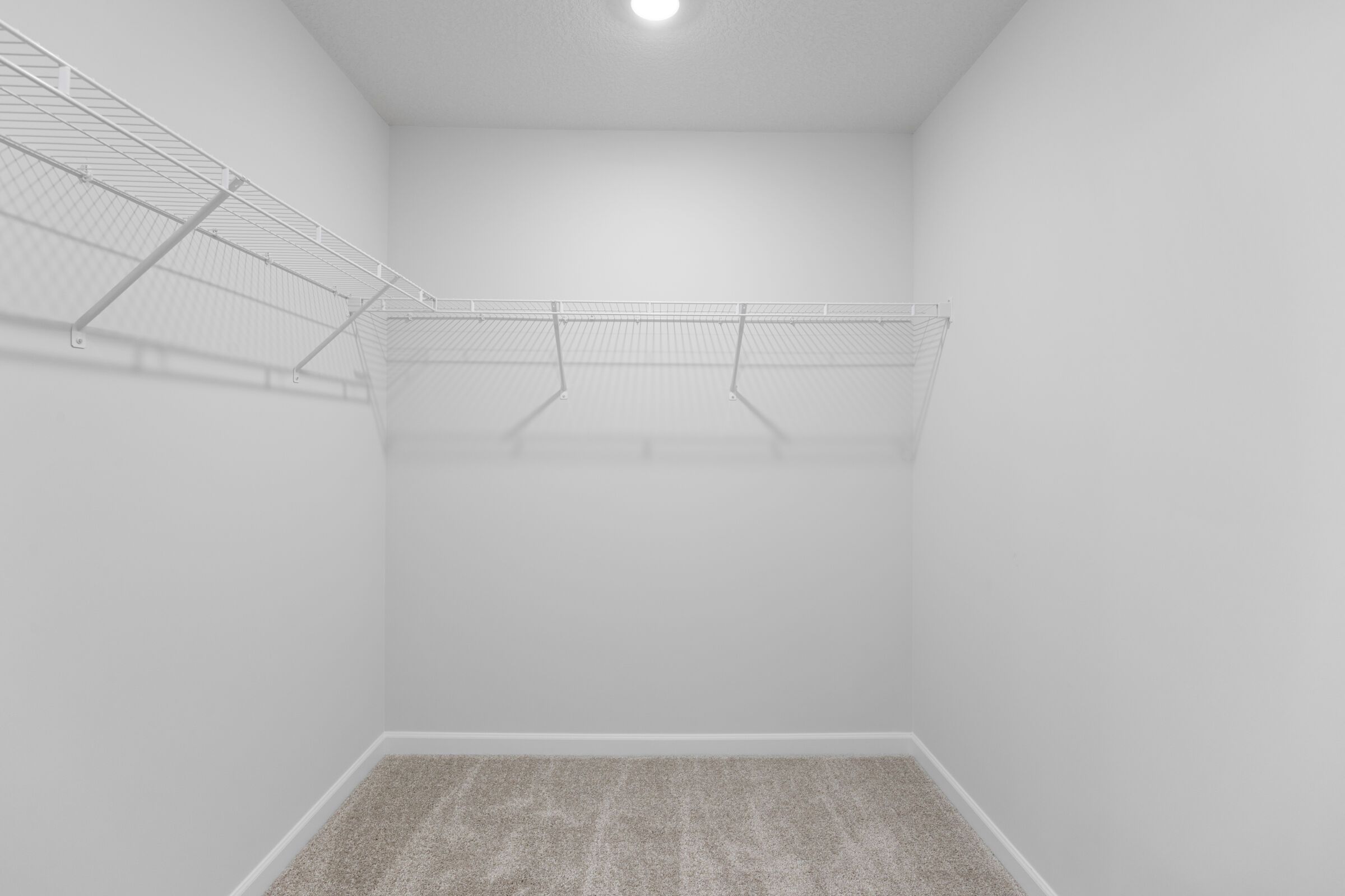 Owner's Closet