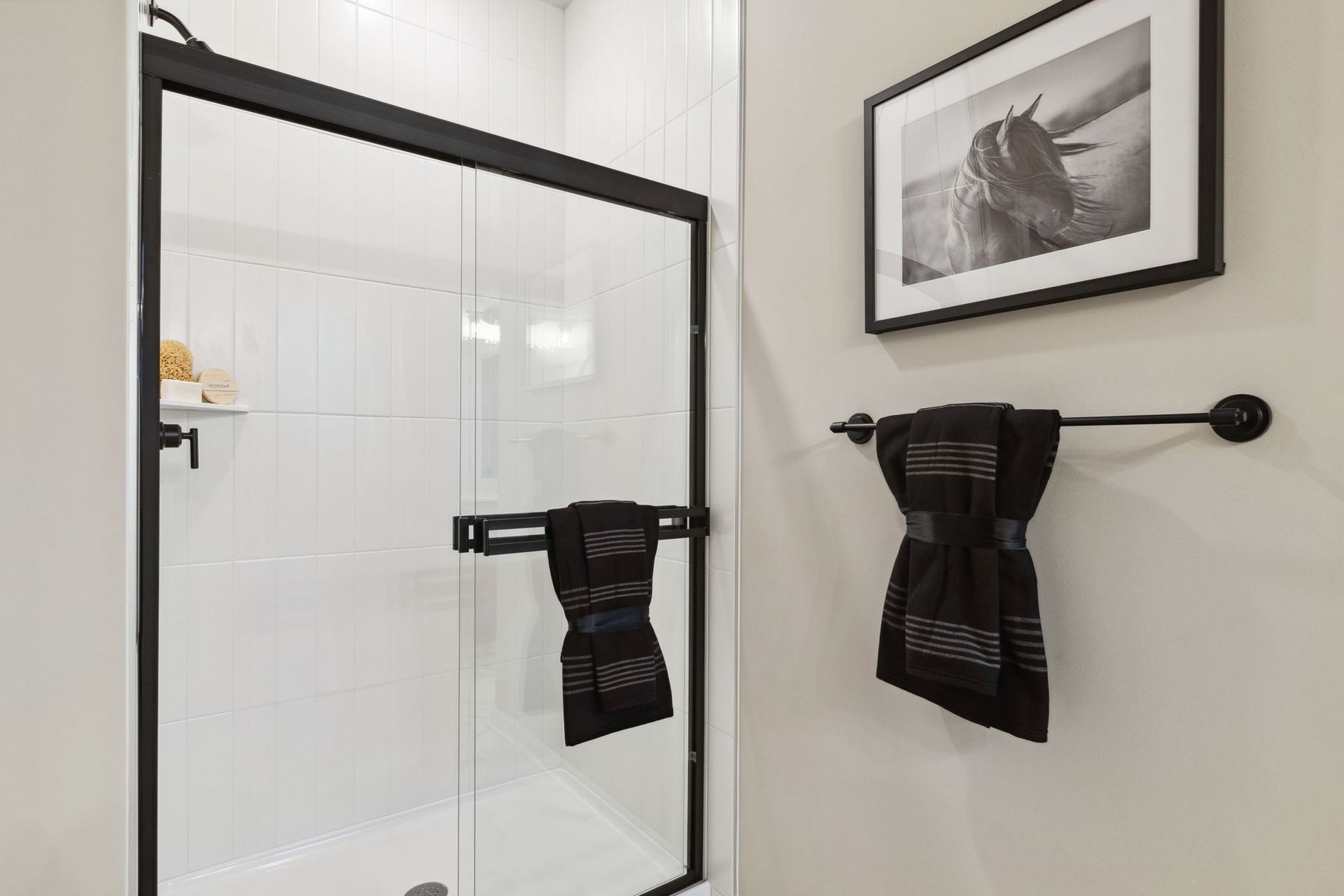 Owner's Bathroom