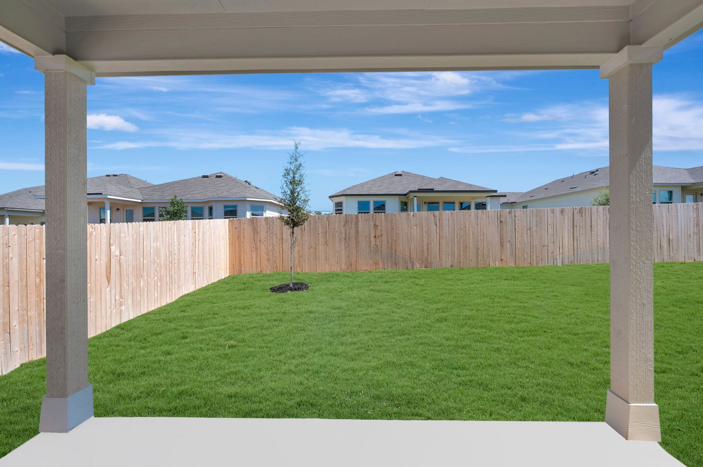 Backyard