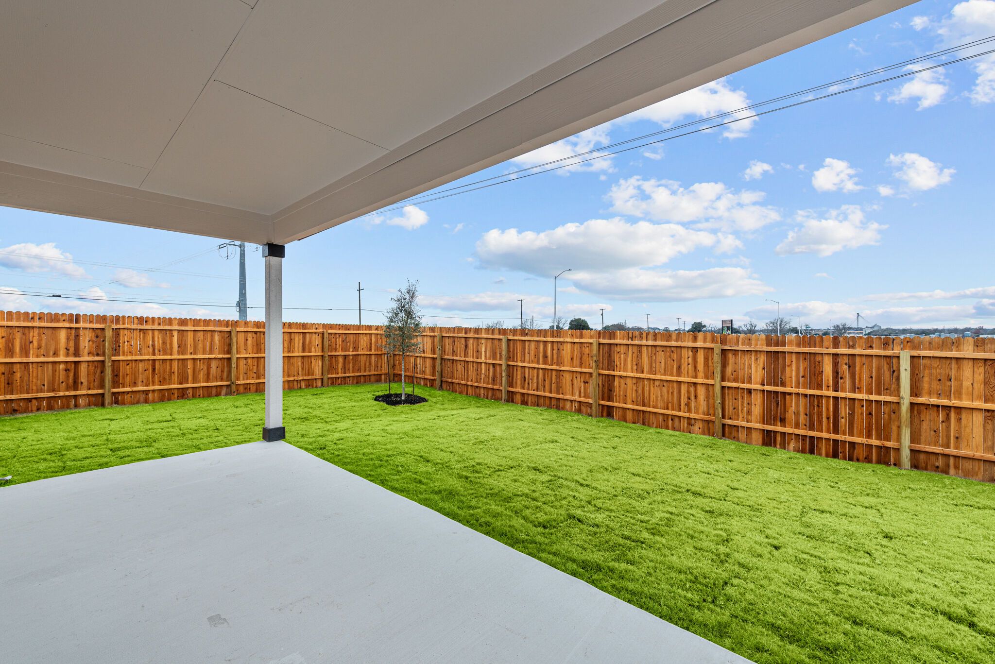 Backyard