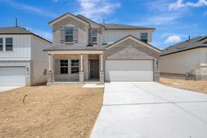 6279 Desert Aloe (Harrison)