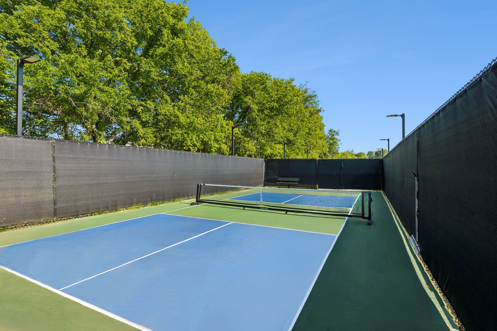 Pickleball Court