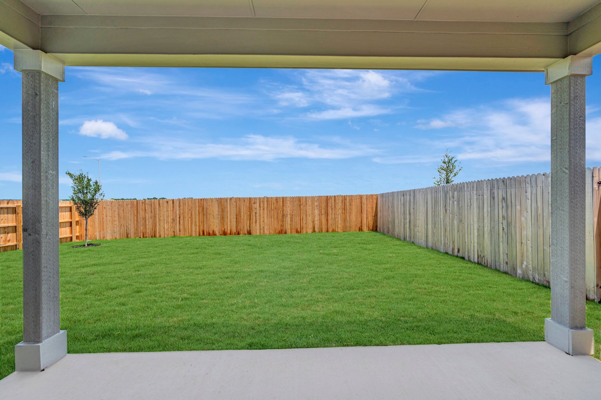 Backyard