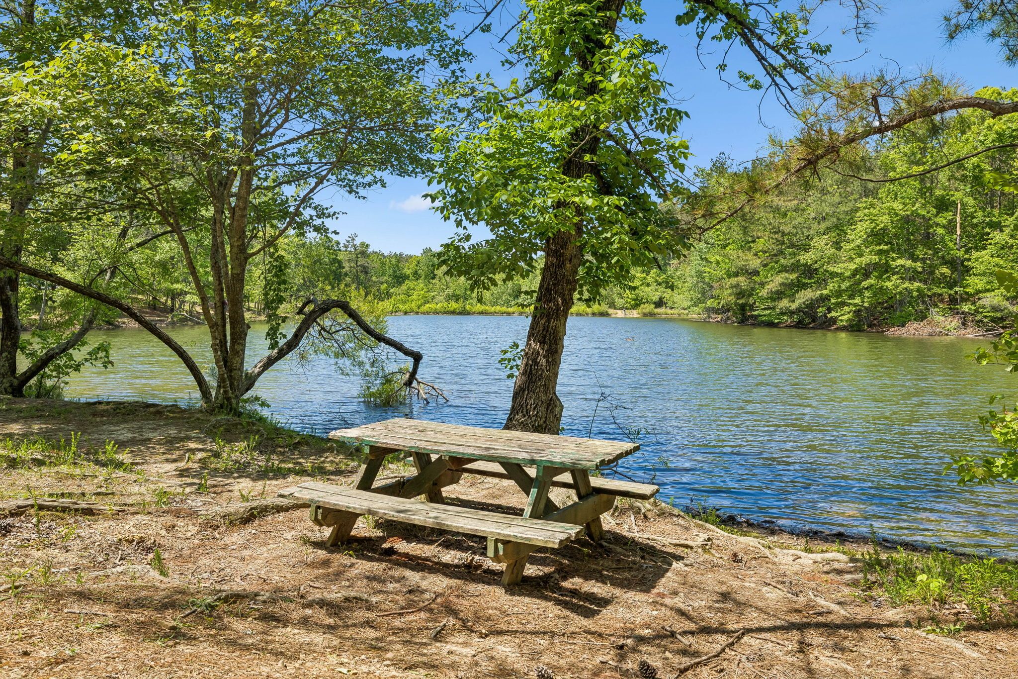 Bowie Nature Park