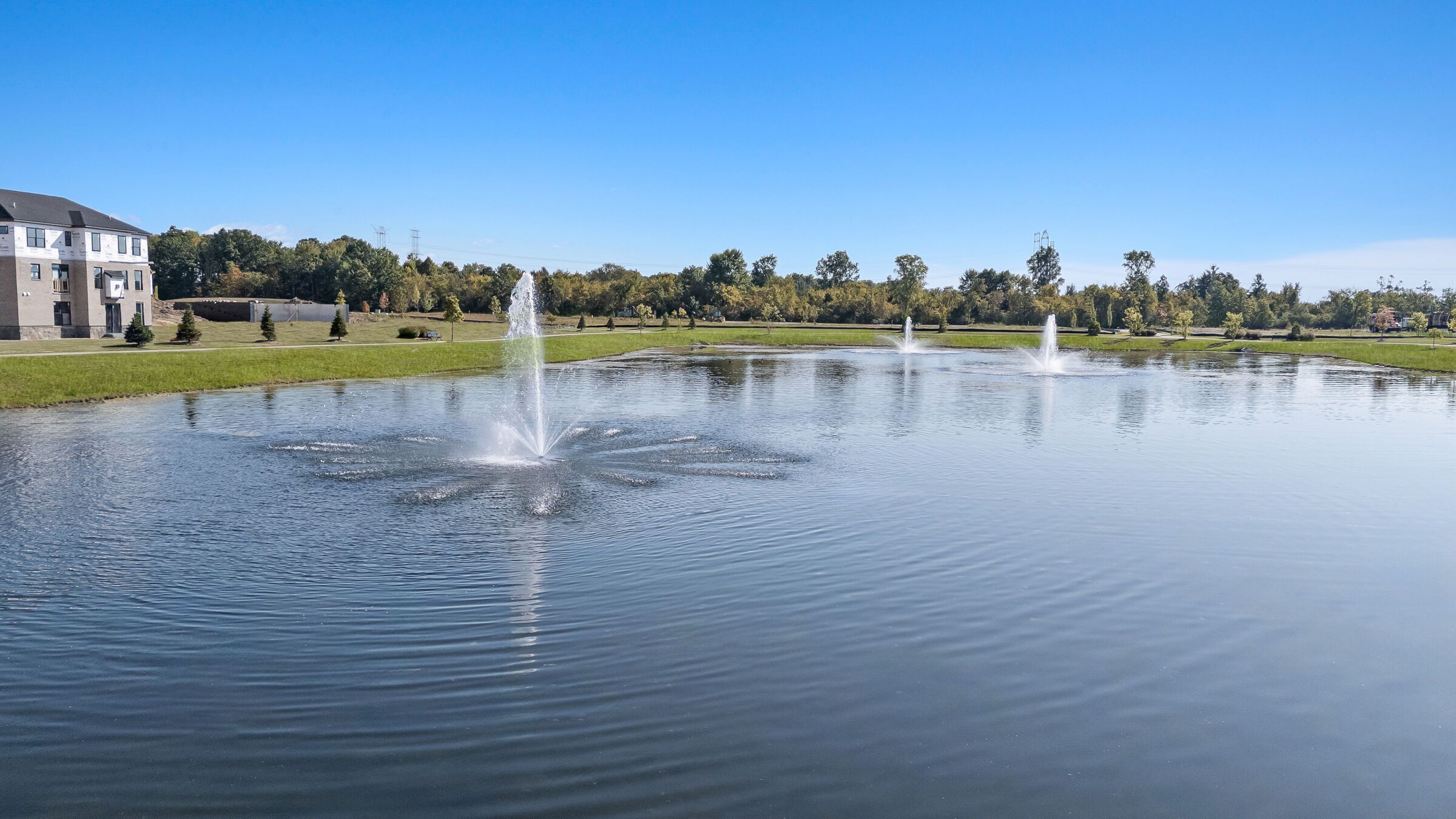 Pond