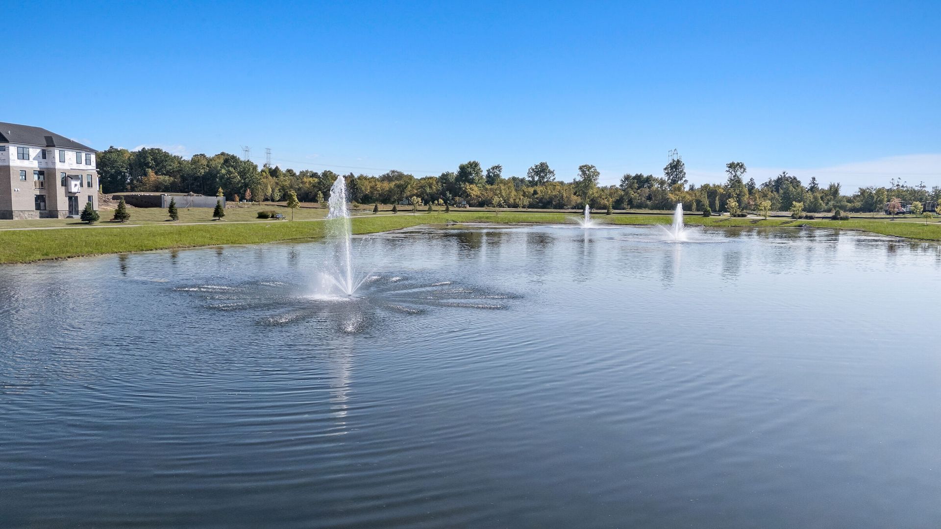 Pond