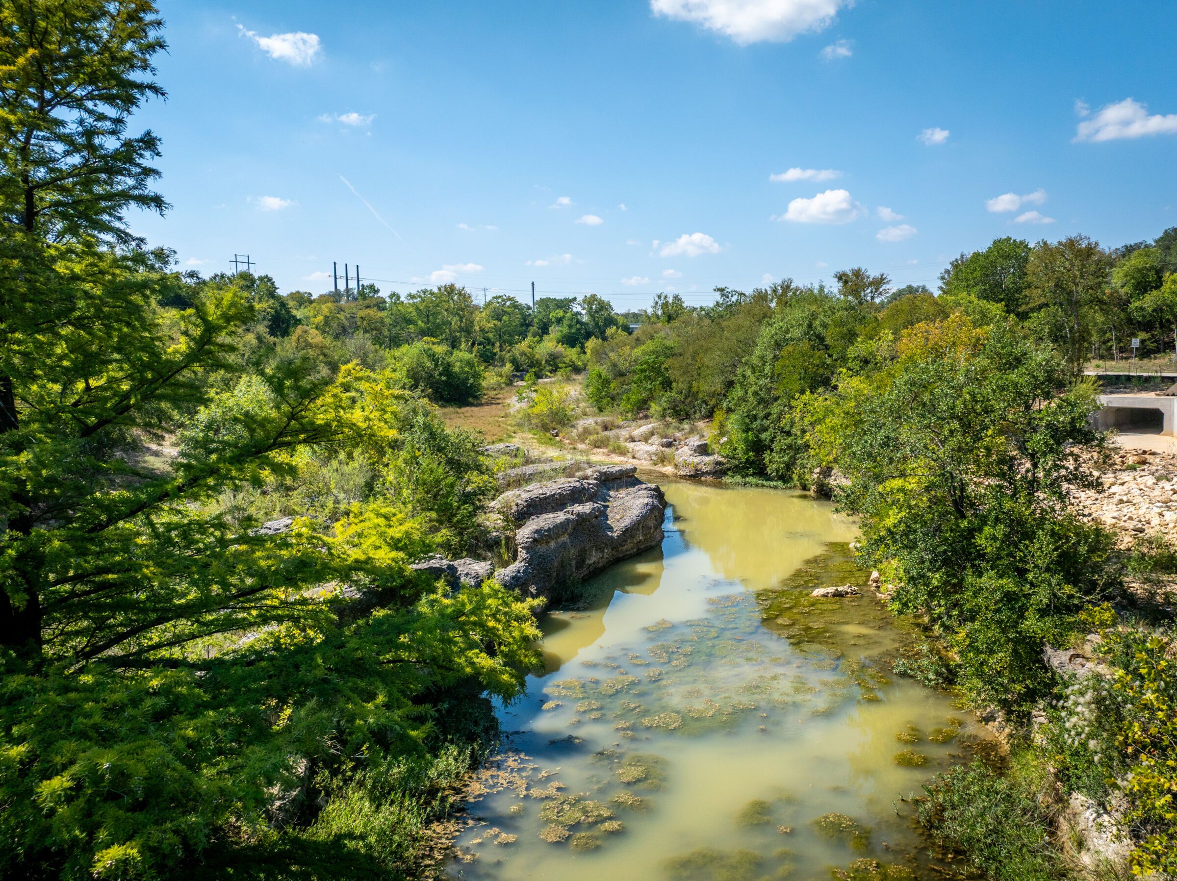 Cole Springs