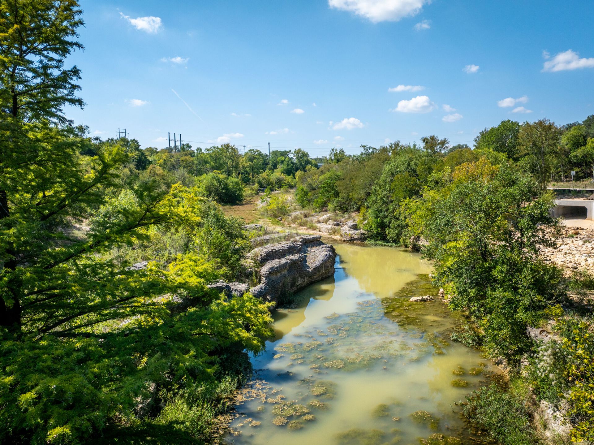 Cole Springs