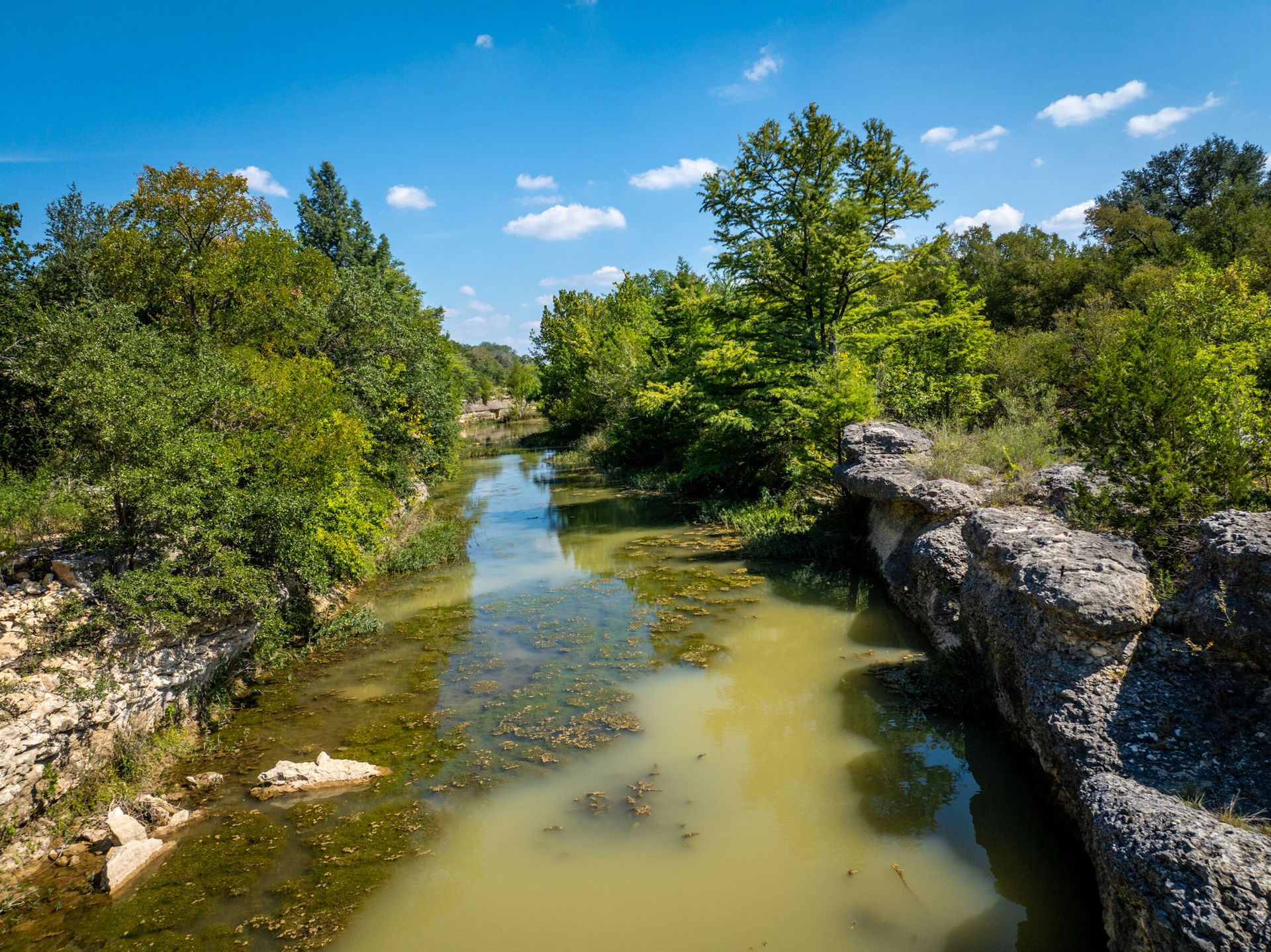 Cole Springs