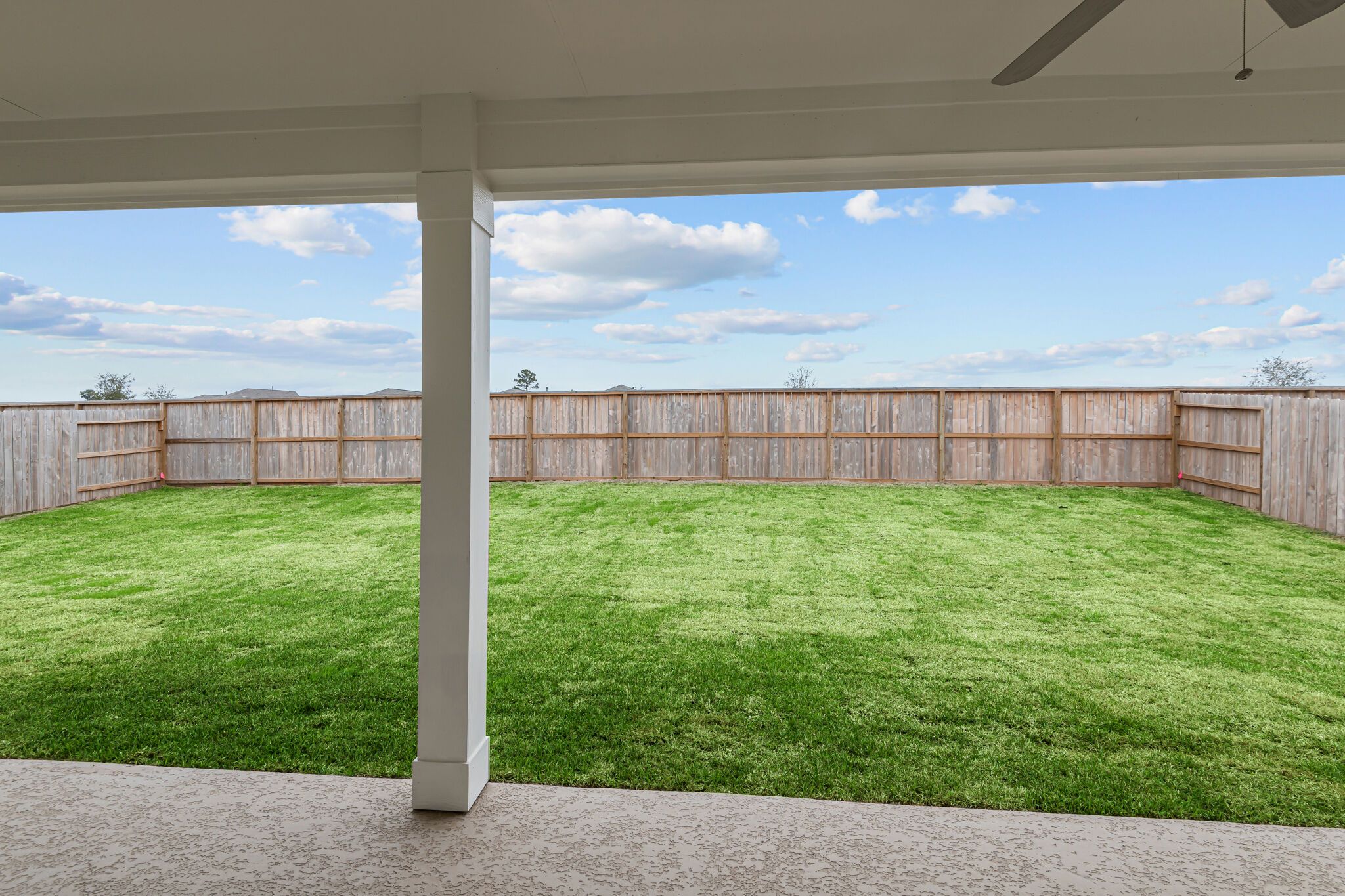 Backyard - Representational Photo