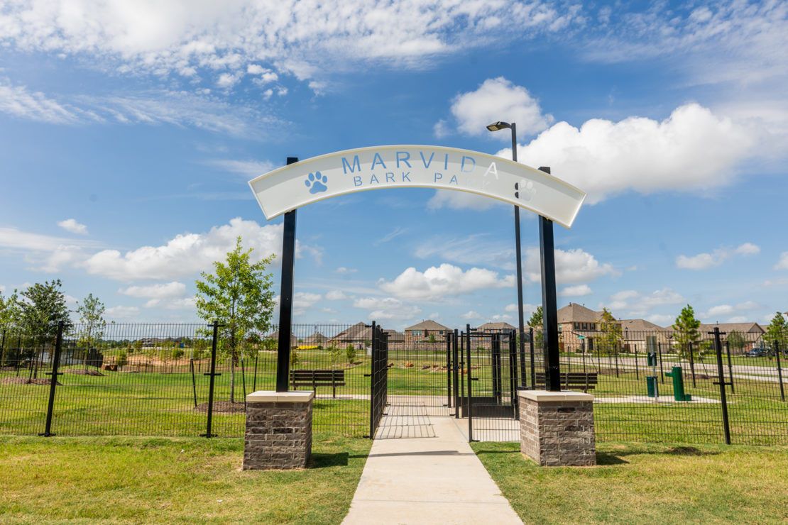 Dog Park