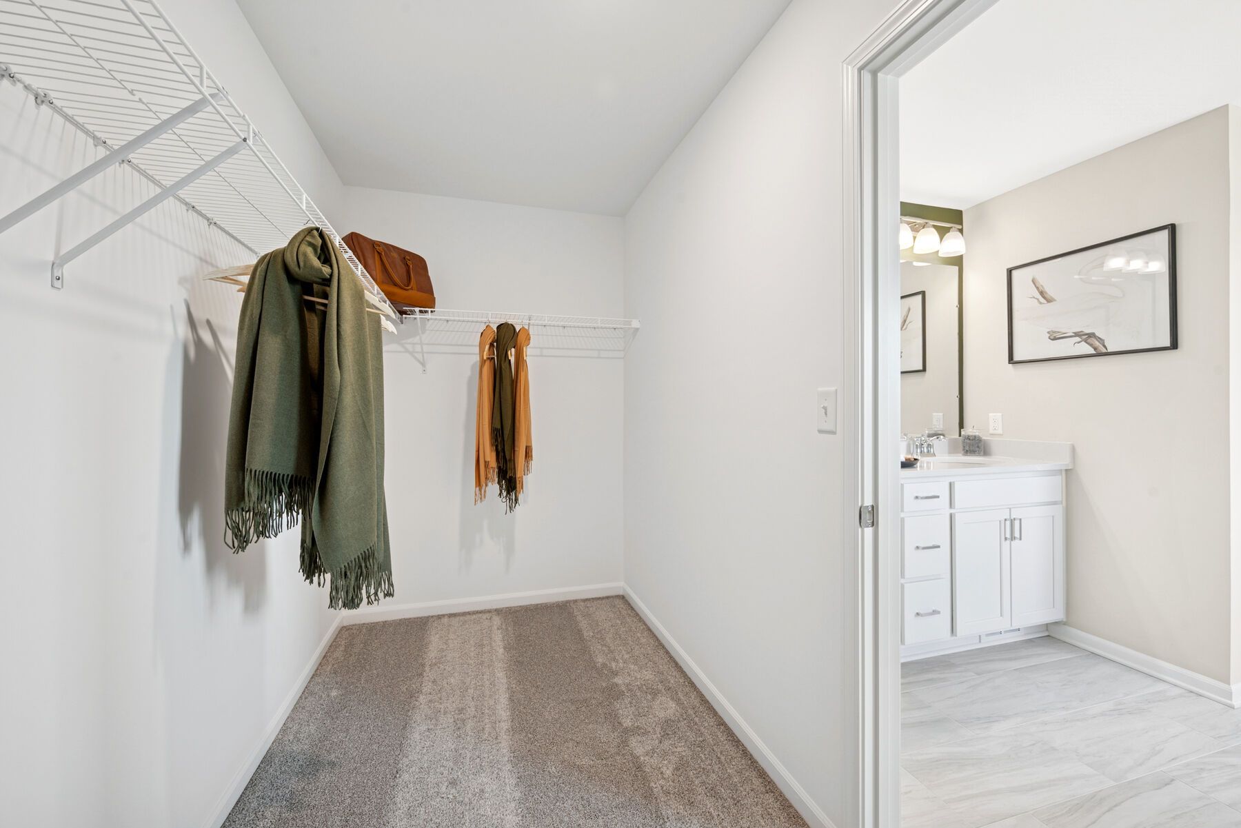 Owner's Closet - Representational Photo