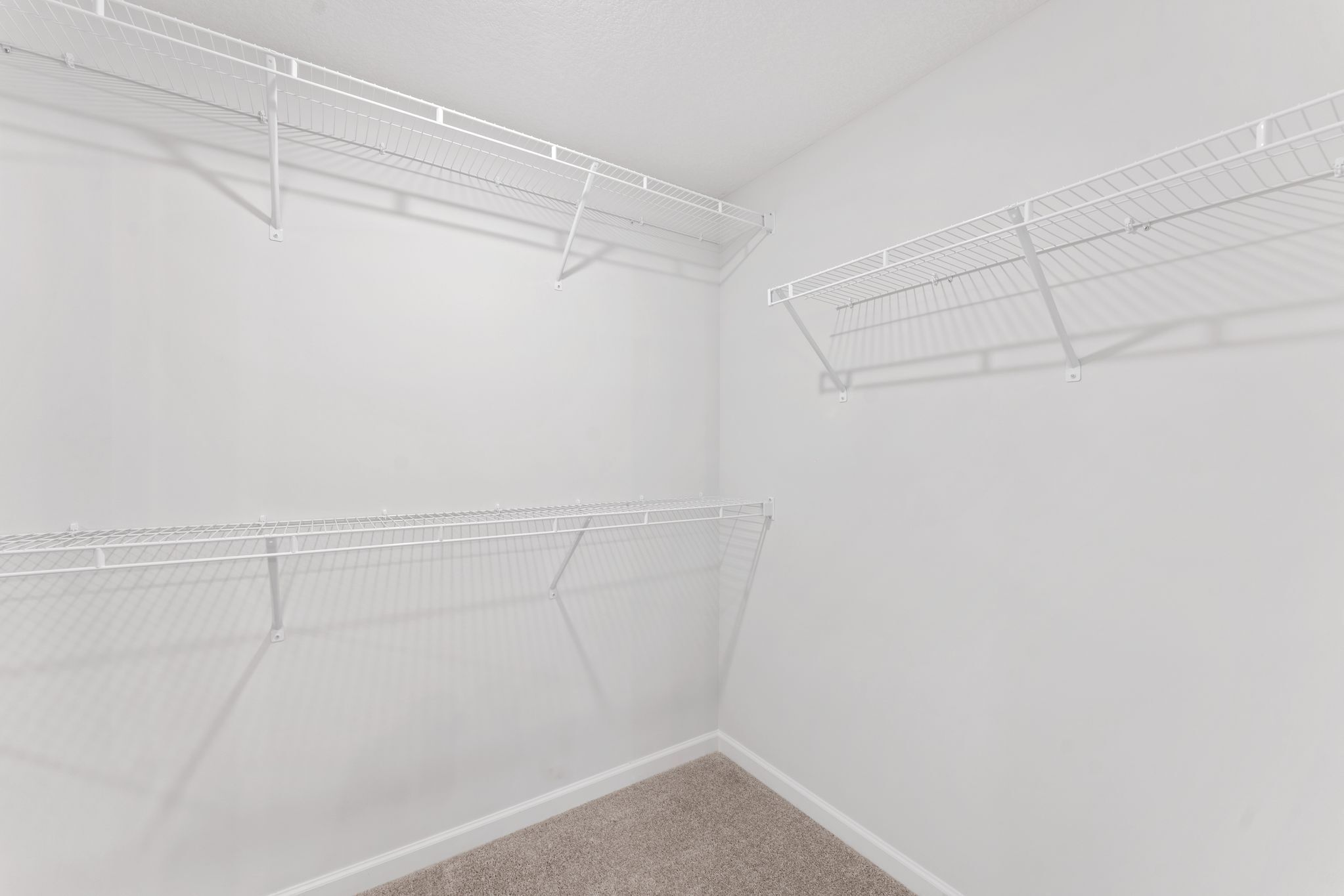 Owner's Closet