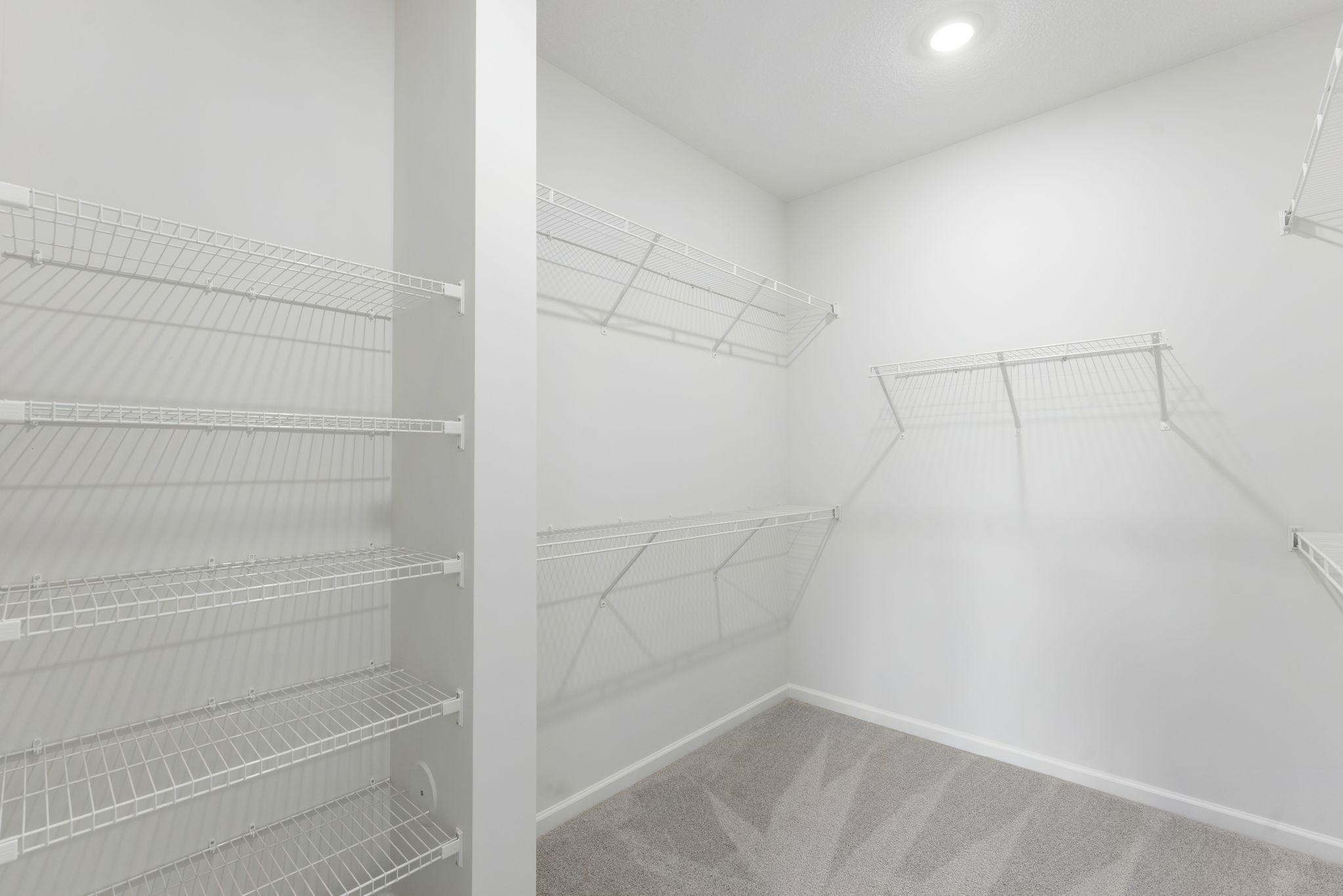 Owner's Closet