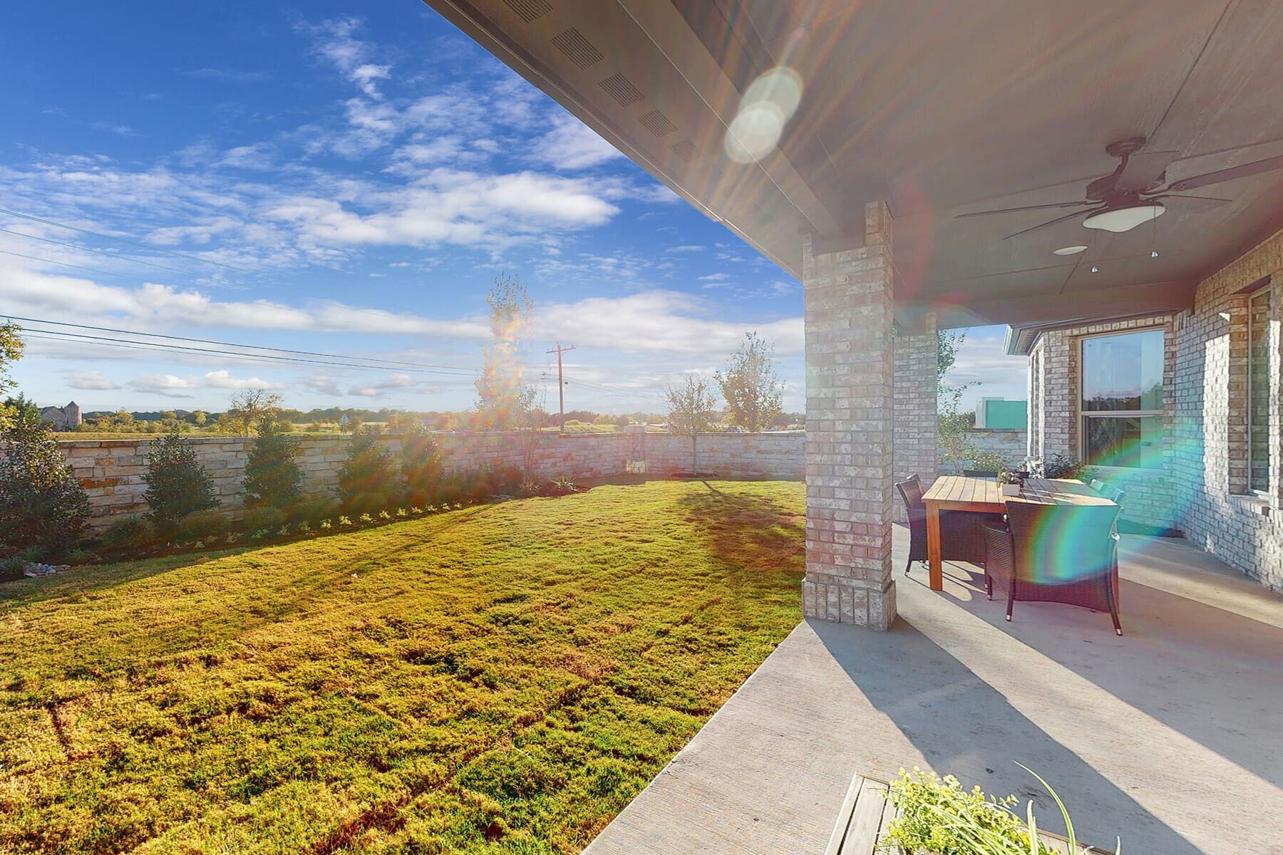 Backyard