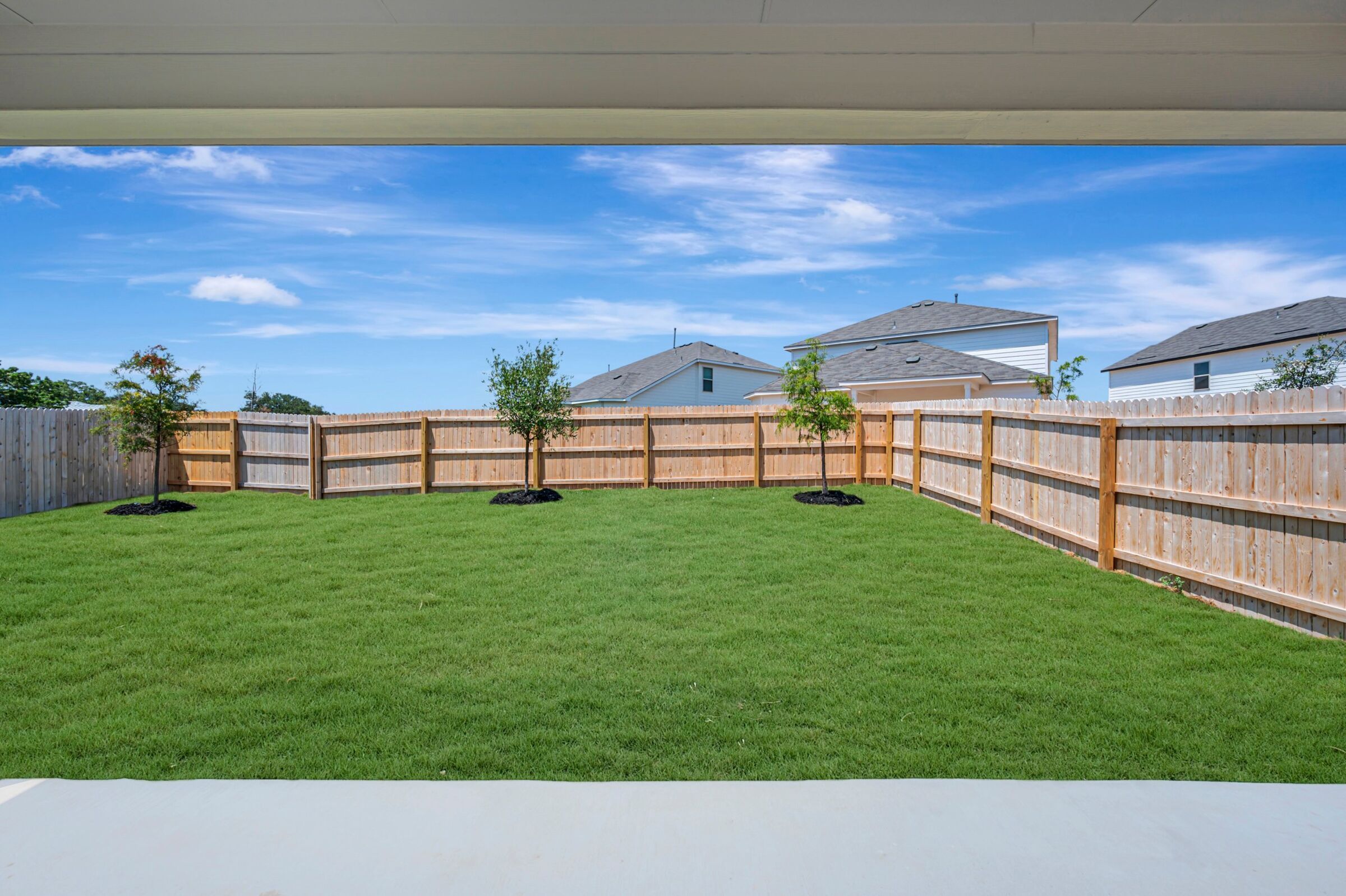 Backyard