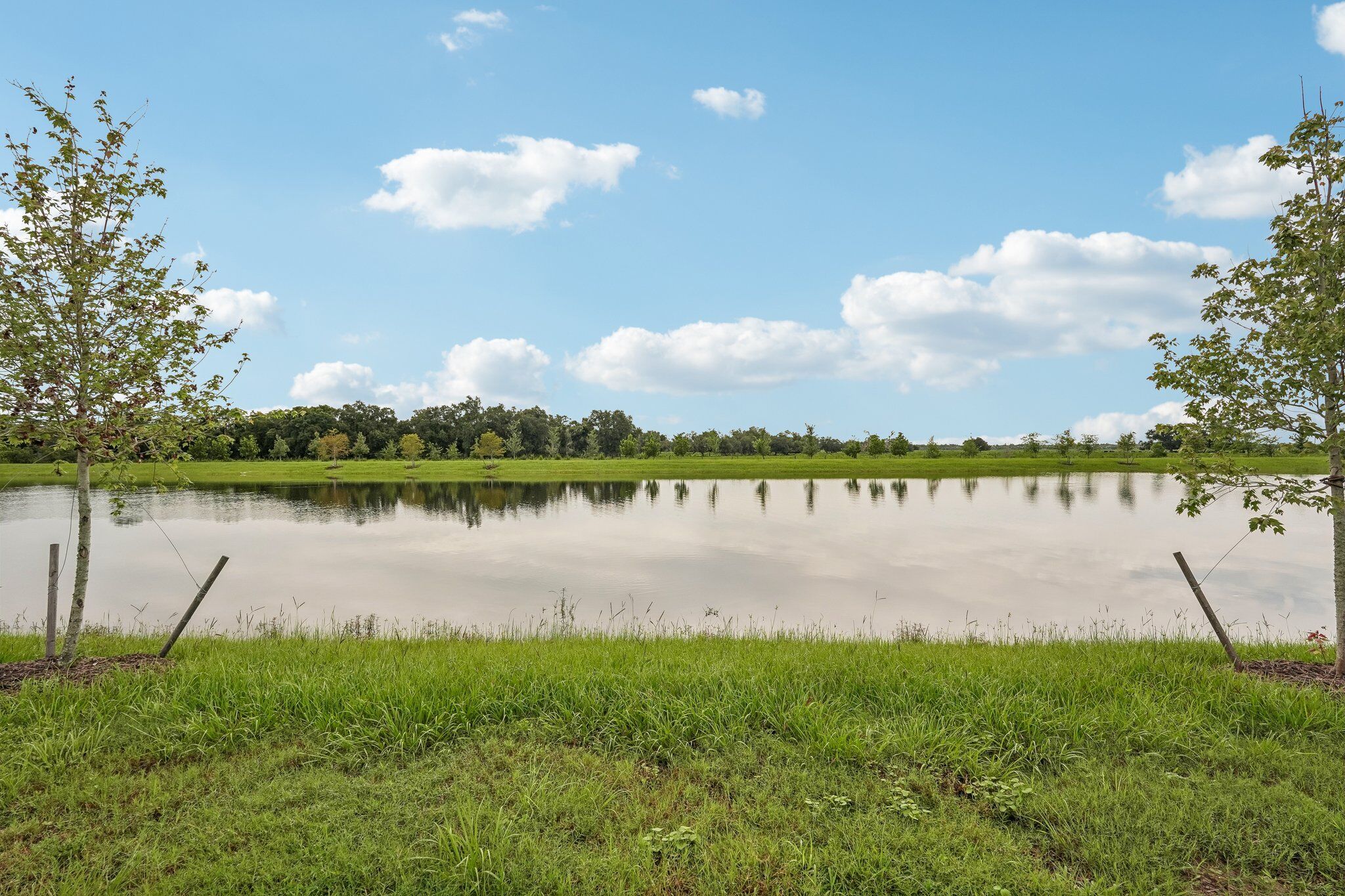 Back exterior