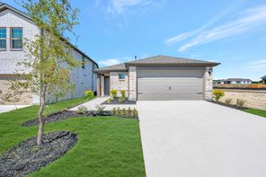 1256 Tallowwood Trail (Aster)