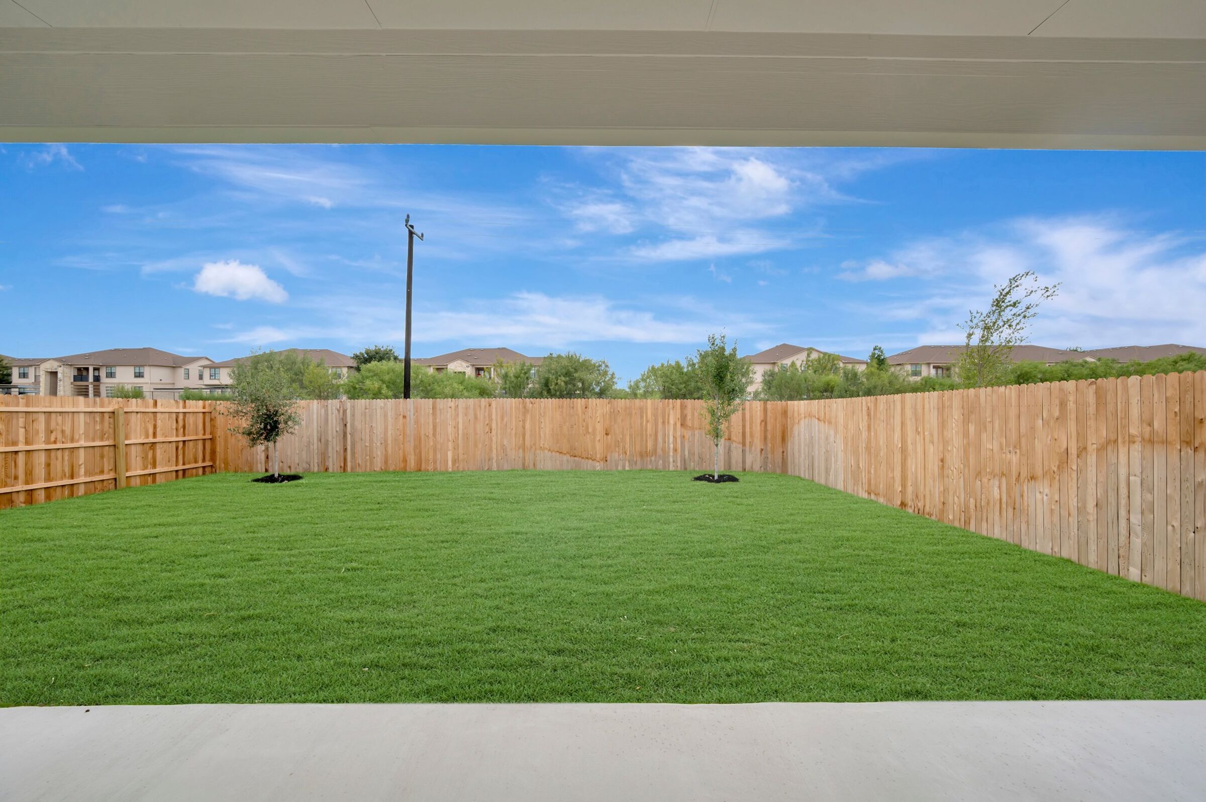Backyard