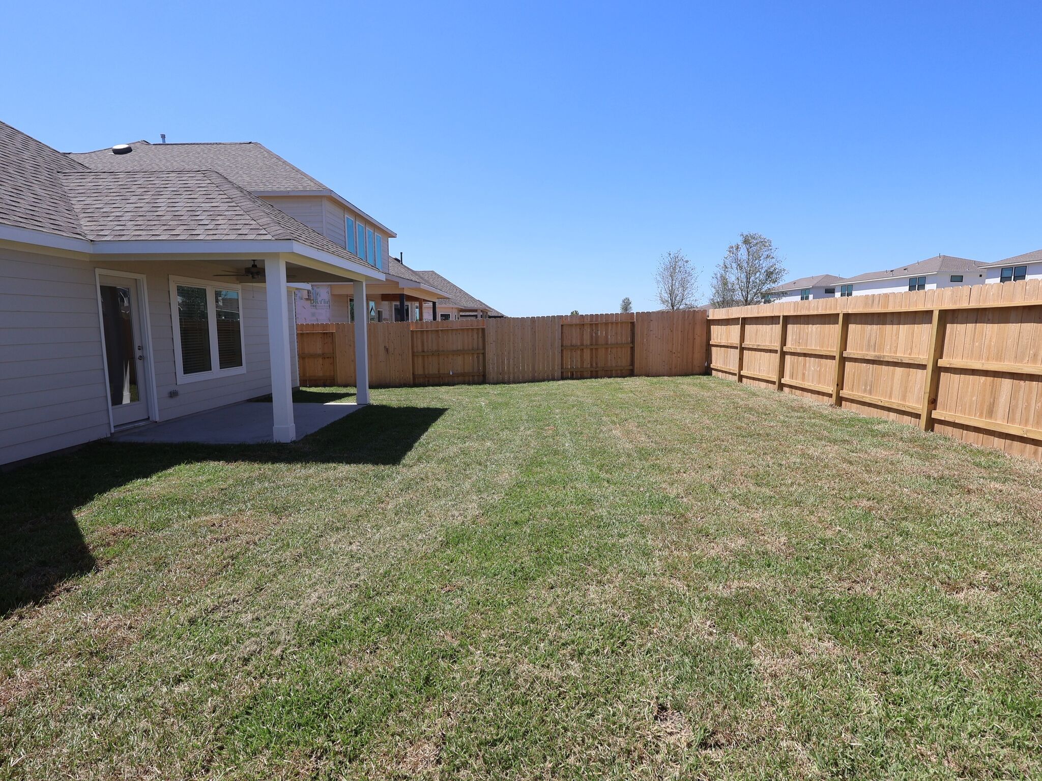 Backyard