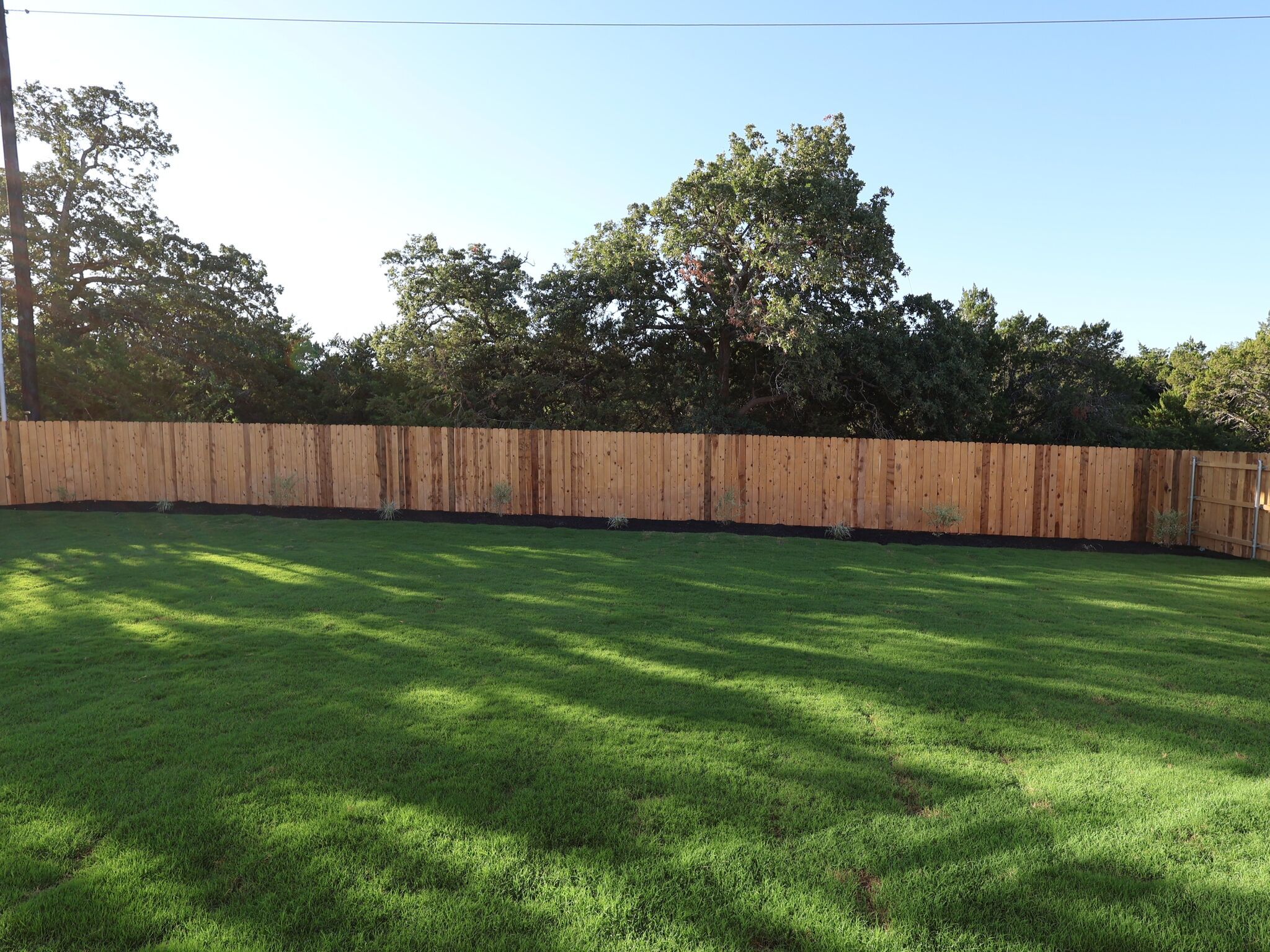 Backyard