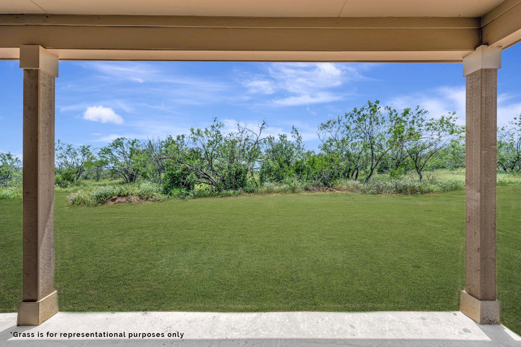 Representational Grass Images